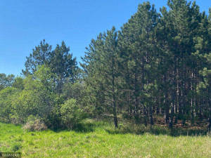 Photo for TBD County 9 Road NW, Bemidji, MN 56601 - Listing #6005951 TBD County 9 Road NW, Bemidji, MN 56601