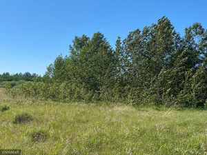 Photo for TBD County 9 Road NW, Bemidji, MN 56601 - Listing #6005951 TBD County 9 Road NW, Bemidji, MN 56601