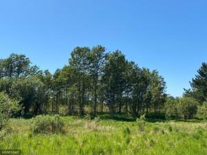 Photo for TBD County 9 Road NW, Bemidji, MN 56601 - Listing #6005951 TBD County 9 Road NW, Bemidji, MN 56601