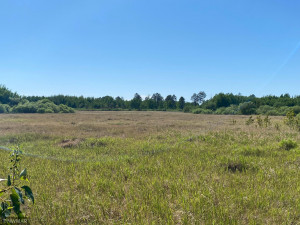 Photo for TBD County 9 Road NW, Bemidji, MN 56601 - Listing #6005951 TBD County 9 Road NW, Bemidji, MN 56601