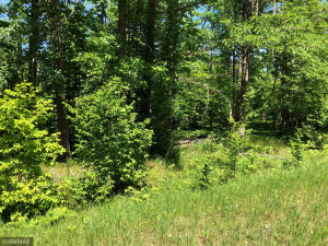 Photo for TBD Sunrise Drive, Becida, MN 56678 - Listing #6005876 TBD Sunrise Drive, Becida, MN 56678