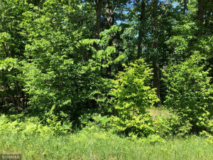 Photo for TBD Sunrise Drive, Becida, MN 56678 - Listing #6005876 TBD Sunrise Drive, Becida, MN 56678