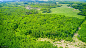 Photo for 24352 Everts Road NE, Tenstrike, MN 56683 - Listing #6005097 24352 Everts Road NE, Tenstrike, MN 56683