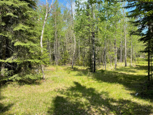 Photo for 2450 Keyes Island, International Falls, MN 56649 - Listing #5762645 2450 Keyes Island, International Falls, MN 56649
