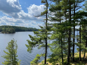Photo for 2450 Keyes Island, International Falls, MN 56649 - Listing #5762645 2450 Keyes Island, International Falls, MN 56649