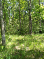 Photo for 1912 Lynx Island Isle, International Falls, MN 56649 - Listing #5744764 1912 Lynx Island Isle, International Falls, MN 56649