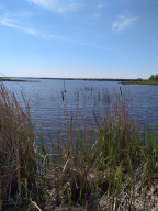 Photo for 1912 Lynx Island Isle, International Falls, MN 56649 - Listing #5744764 1912 Lynx Island Isle, International Falls, MN 56649