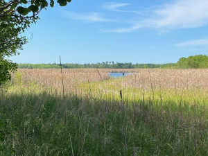 Photo for 1912 Lynx Island Isle, International Falls, MN 56649 - Listing #5744764 1912 Lynx Island Isle, International Falls, MN 56649