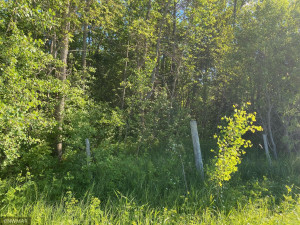 Photo for 14454 Mink Road NE, Kelliher, MN 56650 - Listing #5758305 14454 Mink Road NE, Kelliher, MN 56650