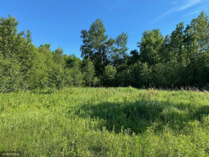 Photo for 14454 Mink Road NE, Kelliher, MN 56650 - Listing #5758305 14454 Mink Road NE, Kelliher, MN 56650