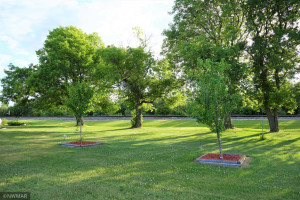 Photo for 10101 State Highway 32, Strathcona, MN 56759 - Listing #6013571 10101 State Highway 32, Strathcona, MN 56759