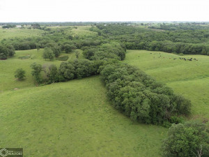 Photo for 1450 230th Ave, Osceola, IA 50213 - Listing #6016752 1450 230th Ave, Osceola, IA 50213