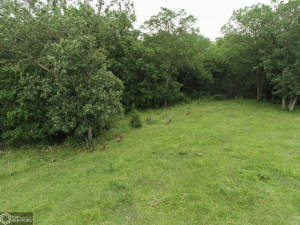 Photo for 1450 230th Ave, Osceola, IA 50213 - Listing #6016752 1450 230th Ave, Osceola, IA 50213
