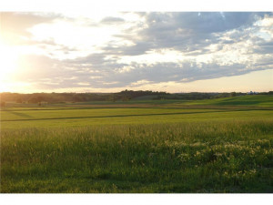 Photo for 9605 320th Street W, Northfield, MN 55057 - Listing #6018858 9605 320th Street W, Northfield, MN 55057