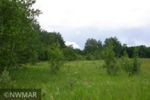 Photo for TBD 675th Ave, Roosevelt, MN 56673 - Listing #6021393 TBD 675th Ave, Roosevelt, MN 56673