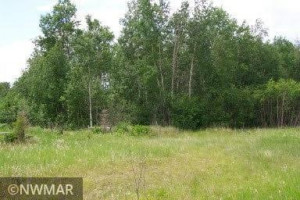 Photo for TBD 675th Ave, Roosevelt, MN 56673 - Listing #6021393 Roosevelt MN_Hunting Property_Photo No. 2