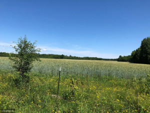 Photo for TBD 675th Ave, Roosevelt, MN 56673 - Listing #6021393 TBD 675th Ave, Roosevelt, MN 56673