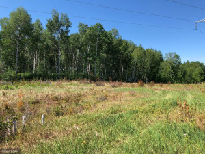 Photo for TBD 675th Ave, Roosevelt, MN 56673 - Listing #6021393 TBD 675th Ave, Roosevelt, MN 56673