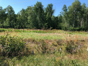 Photo for TBD 675th Ave, Roosevelt, MN 56673 - Listing #6021393 TBD 675th Ave, Roosevelt, MN 56673
