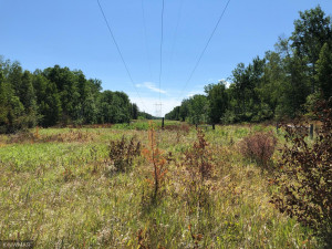 Photo for TBD 675th Ave, Roosevelt, MN 56673 - Listing #6021393 TBD 675th Ave, Roosevelt, MN 56673