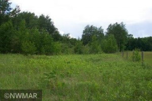 Photo for TBD 675th Ave, Roosevelt, MN 56673 - Listing #6021393 Roosevelt MN_Hunting Property_Photo No. 1