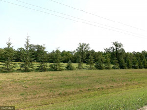 Photo for 40019 220th Street, Roseau, MN 56751 - Listing #6023686 40019 220th Street, Roseau, MN 56751
