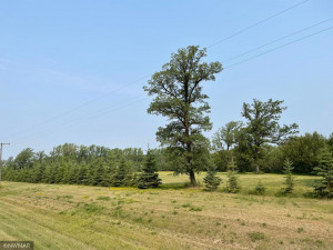 Photo for 40019 220th Street, Roseau, MN 56751 - Listing #6023686 40019 220th Street, Roseau, MN 56751