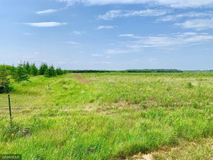 Photo for TBD 600th Ave, Warroad, MN 56763 - Listing #6027318 TBD 600th Ave, Warroad, MN 56763