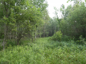 Photo for 43999 county rd 18, Wannaska, MN 56761 - Listing #6027436 43999 county rd 18, Wannaska, MN 56761