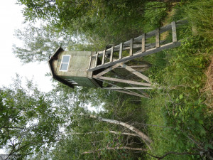 Photo for 43999 county rd 18, Wannaska, MN 56761 - Listing #6027436 43999 county rd 18, Wannaska, MN 56761