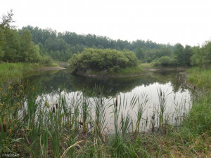 Photo for 43999 county rd 18, Wannaska, MN 56761 - Listing #6027436 43999 county rd 18, Wannaska, MN 56761