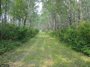 Photo for 43999 county rd 18, Wannaska, MN 56761 - Listing #6027436 43999 county rd 18, Wannaska, MN 56761