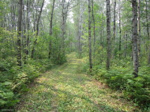 Photo for 43999 county rd 18, Wannaska, MN 56761 - Listing #6027436 43999 county rd 18, Wannaska, MN 56761