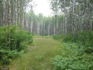 Photo for 43999 county rd 18, Wannaska, MN 56761 - Listing #6027436 43999 county rd 18, Wannaska, MN 56761