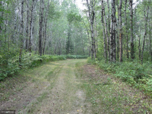 Photo for 43999 county rd 18, Wannaska, MN 56761 - Listing #6027436 43999 county rd 18, Wannaska, MN 56761