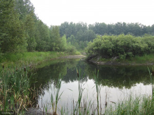 Photo for 43999 county rd 18, Wannaska, MN 56761 - Listing #6027436 43999 county rd 18, Wannaska, MN 56761