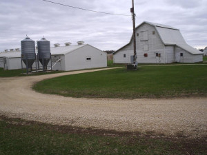 Photo for 15820 665th Avenue, Adams, MN 55909 - Listing #6026767 15820 665th Avenue, Adams, MN 55909