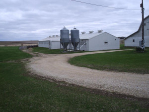 Photo for 15820 665th Avenue, Adams, MN 55909 - Listing #6026767 15820 665th Avenue, Adams, MN 55909