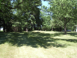 Photo for 15820 665th Avenue, Adams, MN 55909 - Listing #6026767 15820 665th Avenue, Adams, MN 55909