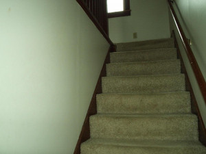 Photo for 15820 665th Avenue, Adams, MN 55909 - Listing #6026767 15820 665th Avenue, Adams, MN 55909