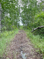 Photo for 32878 County Road 139, Badger, MN 56714 - Listing #6030619 32878 County Road 139, Badger, MN 56714