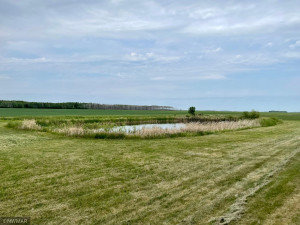 Photo for 32878 County Road 139, Badger, MN 56714 - Listing #6030619 32878 County Road 139, Badger, MN 56714