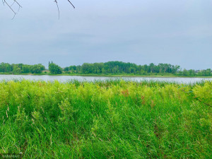 Photo for Tract A UT Road 140, Birchdale, MN 56629 - Listing #5629845 Tract A UT Road 140, Birchdale, MN 56629