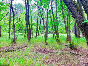 Photo for Tract A UT Road 140, Birchdale, MN 56629 - Listing #5629845 Looking back at slough (currently dry 2021)