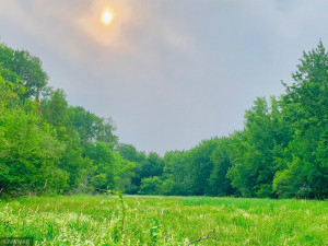 Photo for Tract A UT Road 140, Birchdale, MN 56629 - Listing #5629845 Slough area between river and high ground