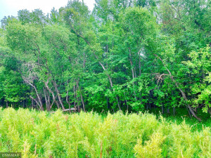 Photo for Tract A UT Road 140, Birchdale, MN 56629 - Listing #5629845 Tract A UT Road 140, Birchdale, MN 56629
