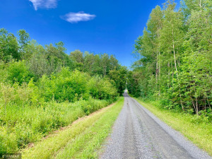 Photo for Tract A UT Road 140, Birchdale, MN 56629 - Listing #5629845 Tract A UT Road 140, Birchdale, MN 56629