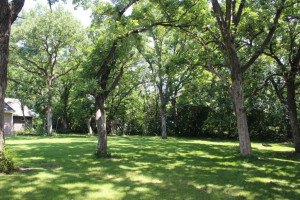 Photo for 9046 Ogden Avenue NE, Otsego, MN 55330 - Listing #5261230 9046 Ogden Avenue NE, Otsego, MN 55330