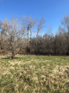 Photo for 000 Brademeyer Rd, Ottertail, MN 56571 - Listing #6051983 000 Brademeyer Rd, Ottertail, MN 56571