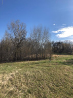 Photo for 000 Brademeyer Rd, Ottertail, MN 56571 - Listing #6051983 000 Brademeyer Rd, Ottertail, MN 56571